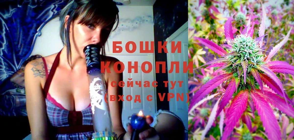 хмурый Семилуки